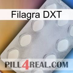 Filagra DXT 16